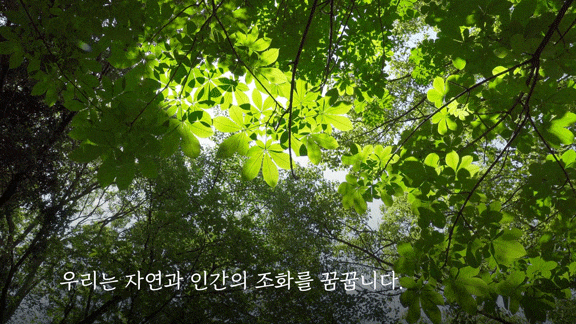 브랜딩